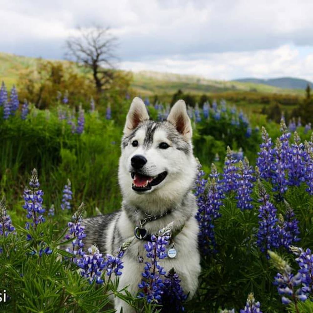 Meet your Posher, Jill